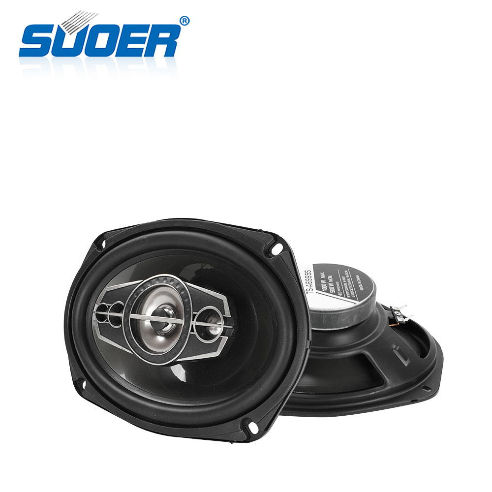 Car Speaker - TS-A6995R